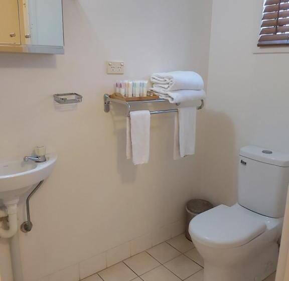 3침실 디럭스 아파트, Cosmopolitan Motel & Serviced Apartments