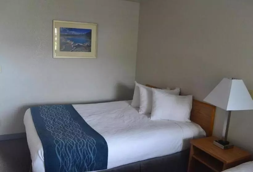 身障者適用スタンダードルーム, Absaroka Lodge