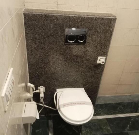 Семейный Номер, Ananda Krishna Van