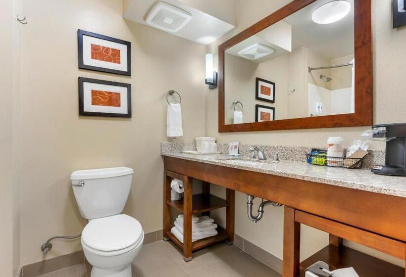 جناح, Comfort Suites Redding  Shasta Lake