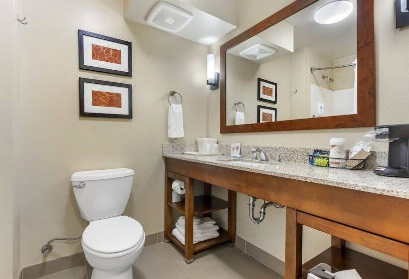 Люкс, Comfort Suites Redding  Shasta Lake