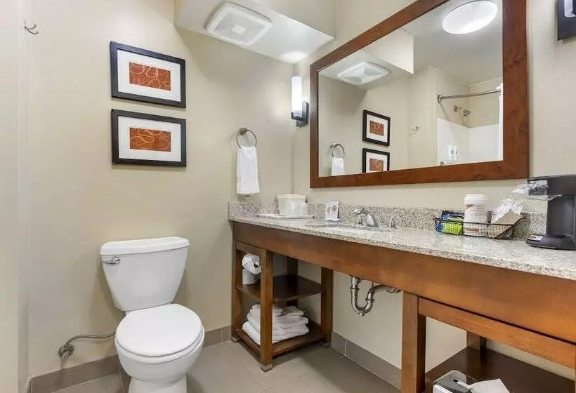 سوییت, Comfort Suites Redding  Shasta Lake