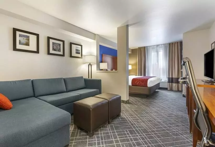 سوییت, Comfort Suites Redding  Shasta Lake