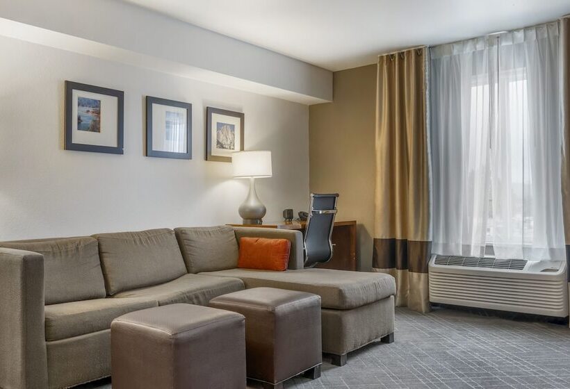 장애인을 위한 스위트, Comfort Suites Redding  Shasta Lake