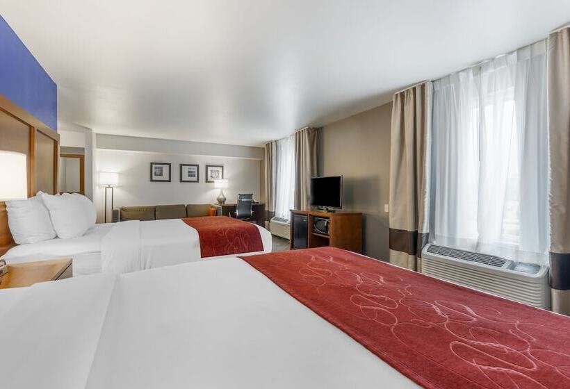 جناح لذوى الاحتياجات الخاصة, Comfort Suites Redding  Shasta Lake