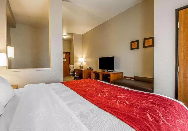 سوئیت با تخت بزرگ, Comfort Suites Redding  Shasta Lake