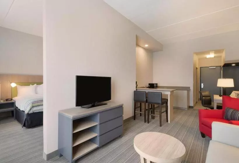 キングサイズベッドのスイートルーム, Country Inn & Suites By Radisson, Katy Houston West , Tx