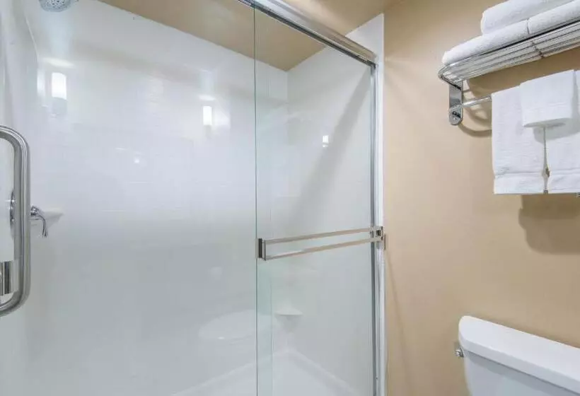 キングサイズベッドのエクゼクティブルーム, Holiday Inn Salina, An Ihg