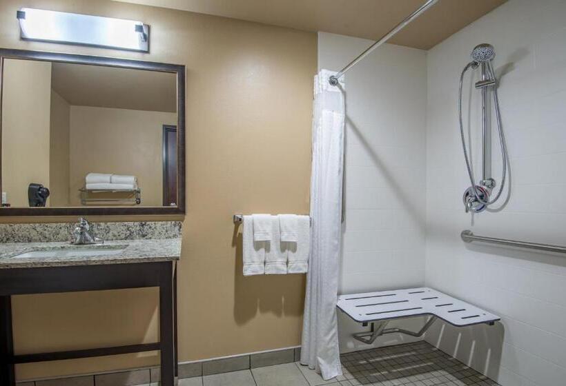 身障者適用キングサイズベッドルーム, Holiday Inn Salina, An Ihg