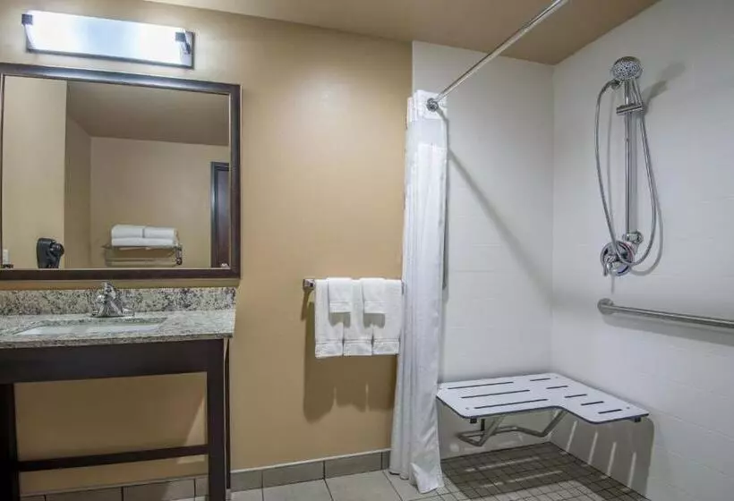 身障者適用キングサイズベッドルーム, Holiday Inn Salina, An Ihg