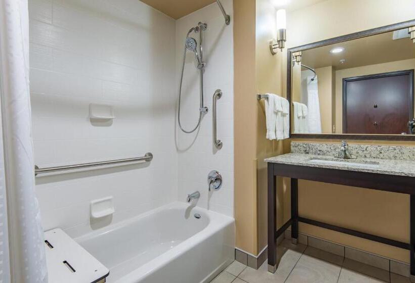 Quarto Estandar Cama King para Deficientes Físicos, Holiday Inn Salina, An Ihg