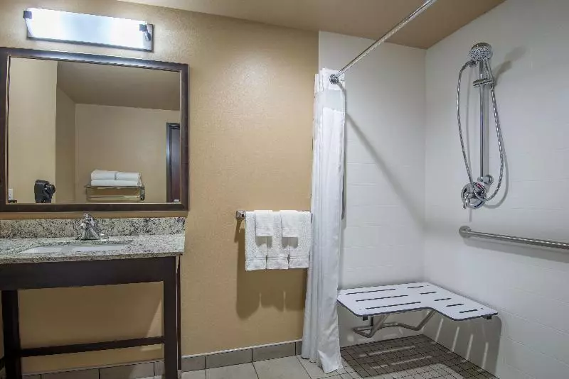 身障者適用キングサイズベッドルーム, Holiday Inn Salina, An Ihg