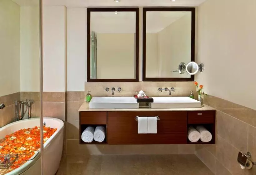 デラックススイート, Park Plaza Chandigarh Zirakpur