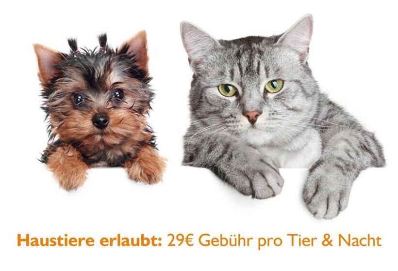 جناح مزوَّد بشرفة, Schlosshotel Fürstlich Drehna