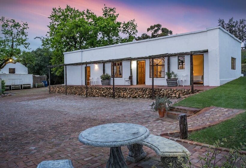 חדר סטנדרט לארבעה, Oude Wellington Estate