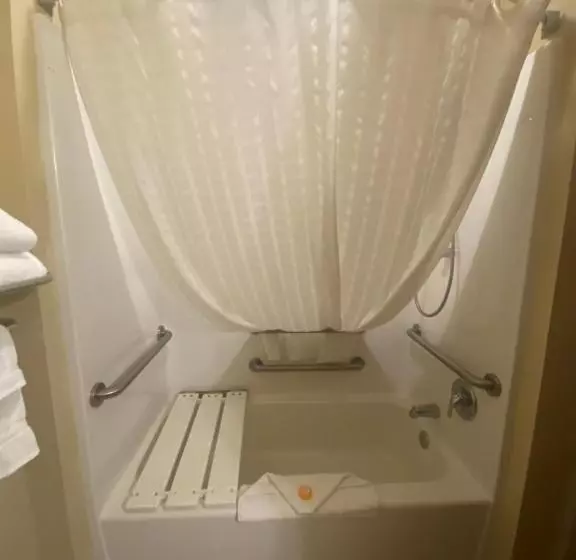 身障者適用シングルルーム, Cobblestone Hotel & Suites Broken Bow
