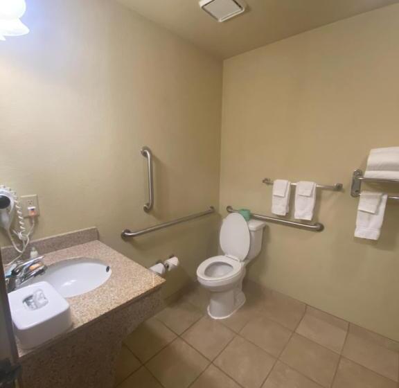 غرفة قياسية فردية لذوى الإحتياجات الخاصة, Cobblestone Hotel & Suites   Broken Bow
