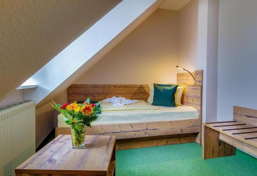 スーペリアシングルルーム, Ferien Hotel Spreewald