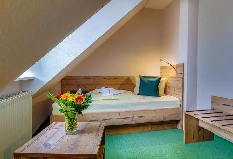 スーペリアシングルルーム, Ferien Hotel Spreewald