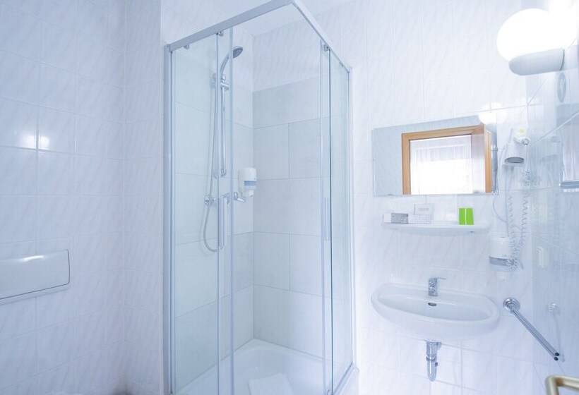 スタンダードシングルルーム, Ferien Hotel Spreewald