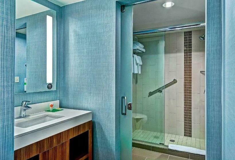 Студио Стандарт Кровать Кинг, Hyatt Place Fredericksburg At Mary Washington