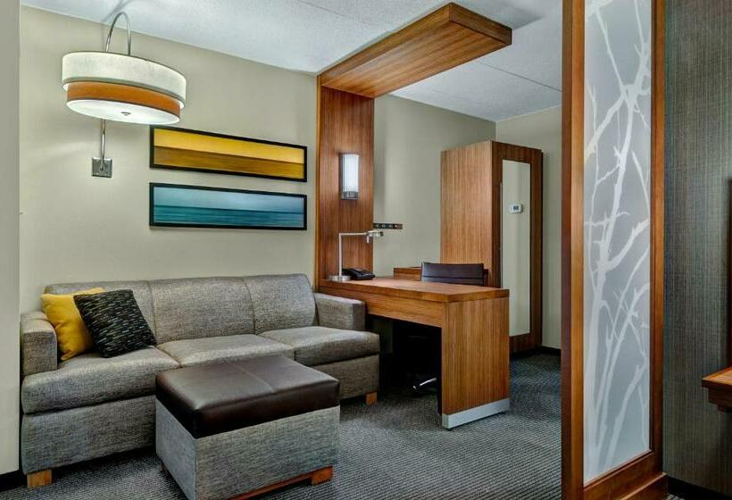 キングサイドベッドのスタンダードワンルーム, Hyatt Place Fredericksburg At Mary Washington