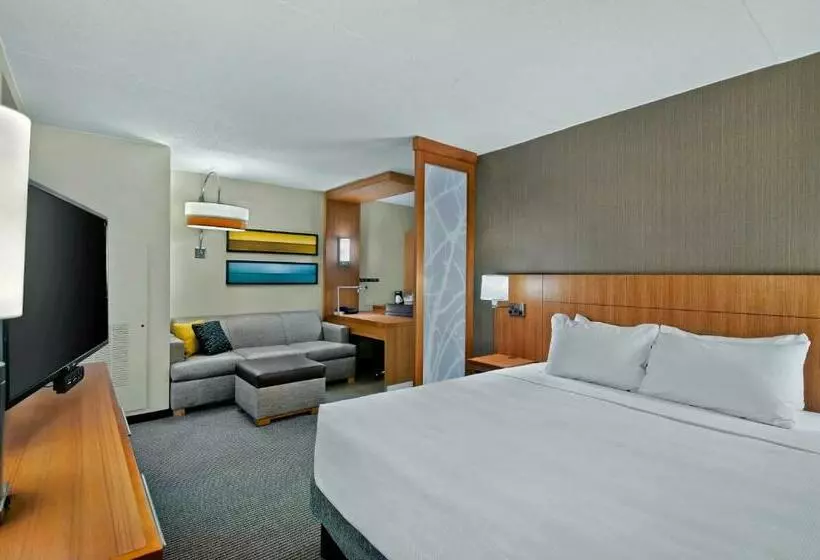 キングサイドベッドのスタンダードワンルーム, Hyatt Place Fredericksburg At Mary Washington