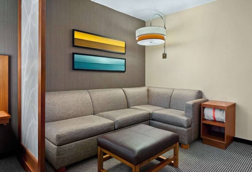 Номер Стандарт Адаптированный для Инвалидов, Hyatt Place Fredericksburg At Mary Washington