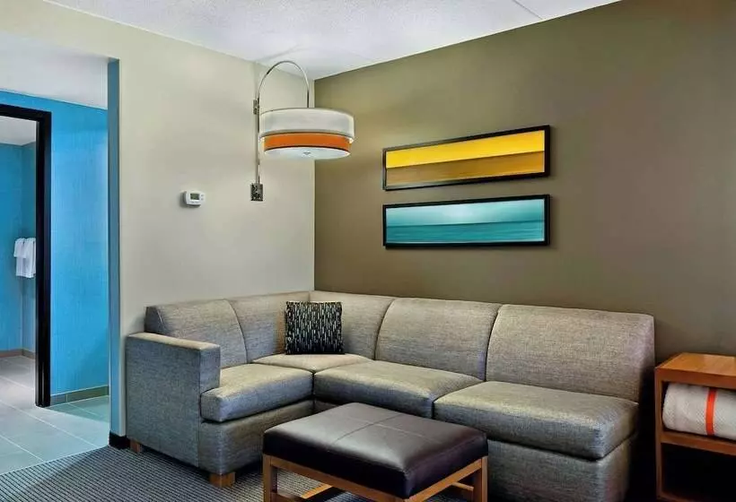 身障者適用スタンダードルーム, Hyatt Place Fredericksburg At Mary Washington