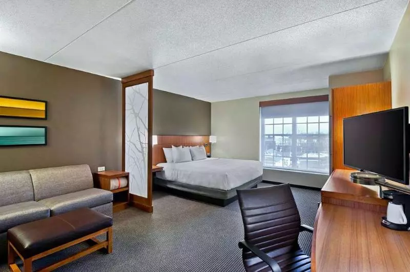 キングサイズベッドのスタンダードルーム, Hyatt Place Fredericksburg At Mary Washington