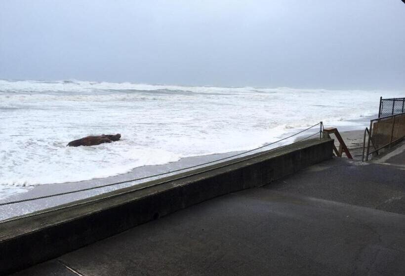 Номер Стандарт, Sandcastle Beachfront