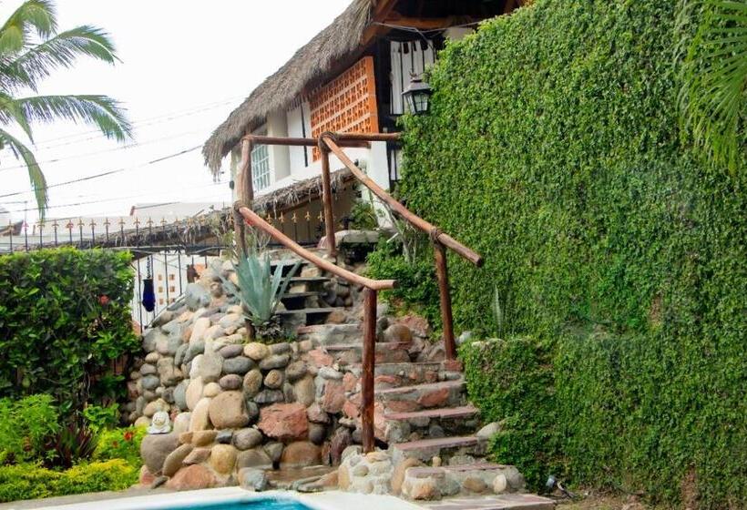 스탠다드 스튜디오, Aventura Pacifico Boutique