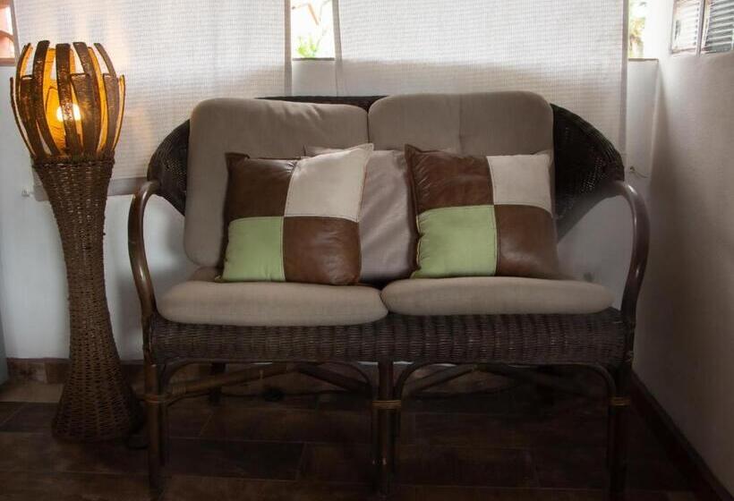 스탠다드 스튜디오, Aventura Pacifico Boutique