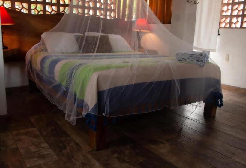 스탠다드 스튜디오, Aventura Pacifico Boutique