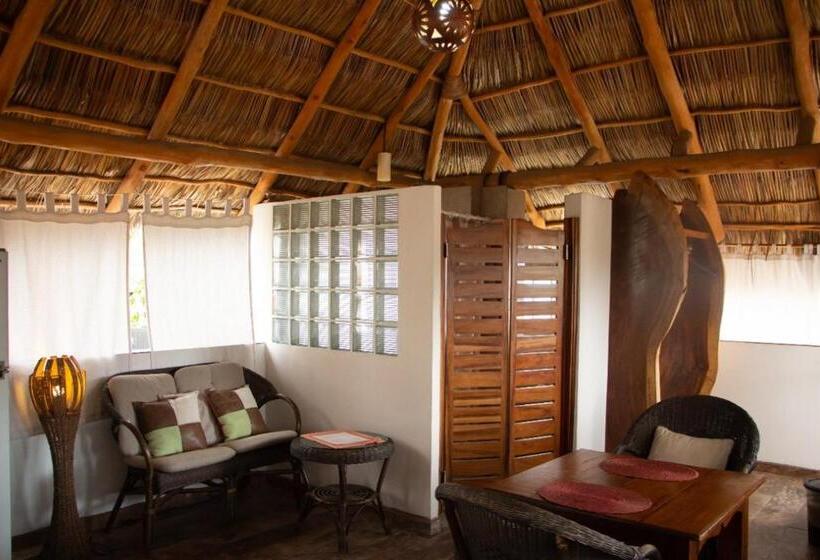 스탠다드 스튜디오, Aventura Pacifico Boutique