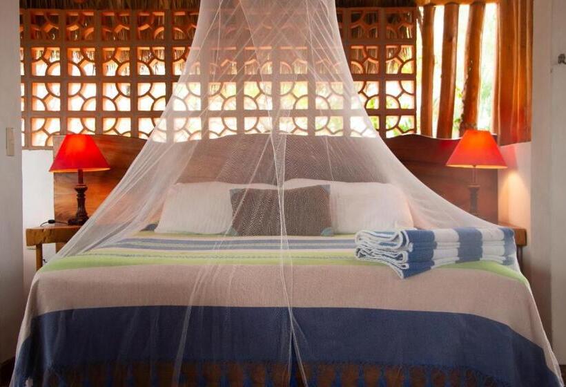 스탠다드 스튜디오, Aventura Pacifico Boutique