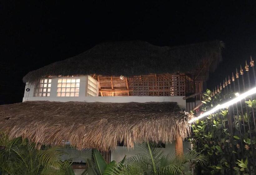 스탠다드 스튜디오, Aventura Pacifico Boutique