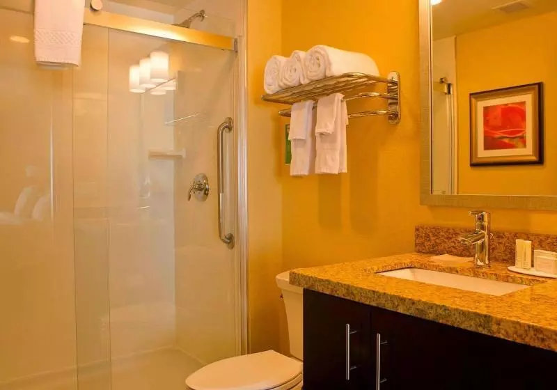 キングサイドベッドのスタンダードワンルーム, Towneplace Suites By Marriott Thunder Bay