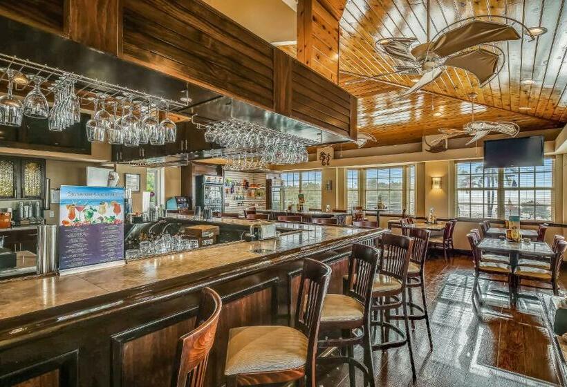 شقة غرفتين, Aqua Vista