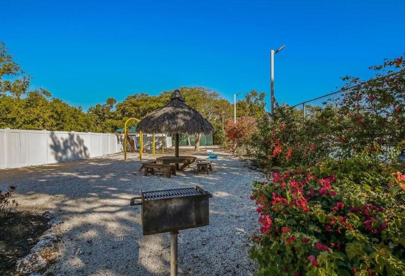 شقة غرفتين, Aqua Vista