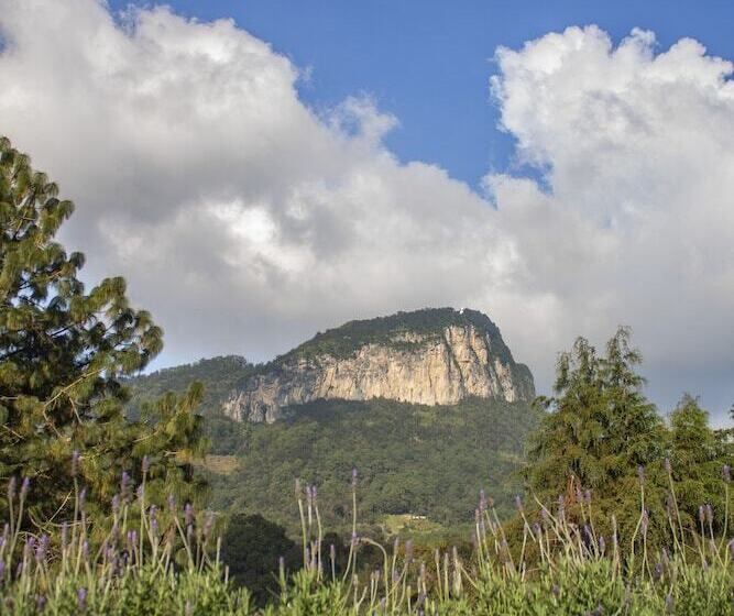 Номер Стандарт, Casa Xaa