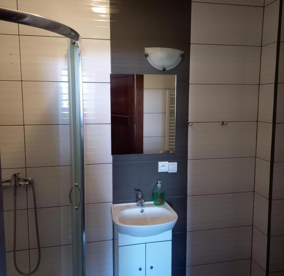 Номер Стандарт, Róża