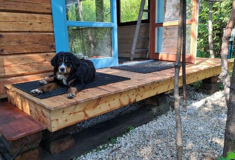 ４ベッドルームハウス, Agroturystyka Na Słonecznej Orawie U Dzikich