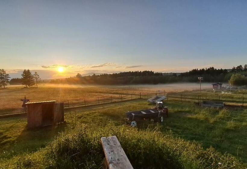 Дом 4 Спальни, Agroturystyka Na Słonecznej Orawie U Dzikich