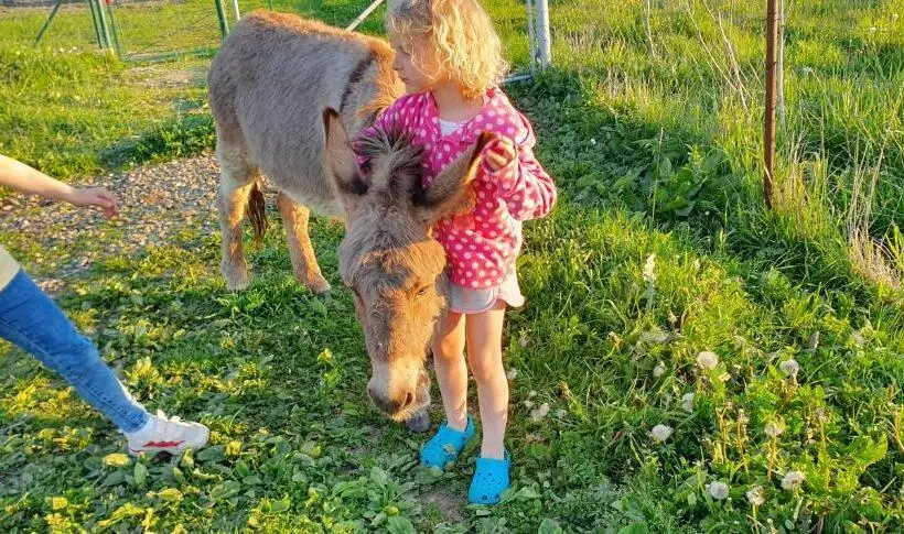 １ベッドルームハウス, Agroturystyka Na Słonecznej Orawie U Dzikich
