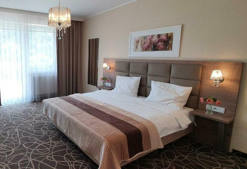 Номер Deluxe, Ośrodek Uzdrowiskowy świerkowy Zdrój Medical Spa
