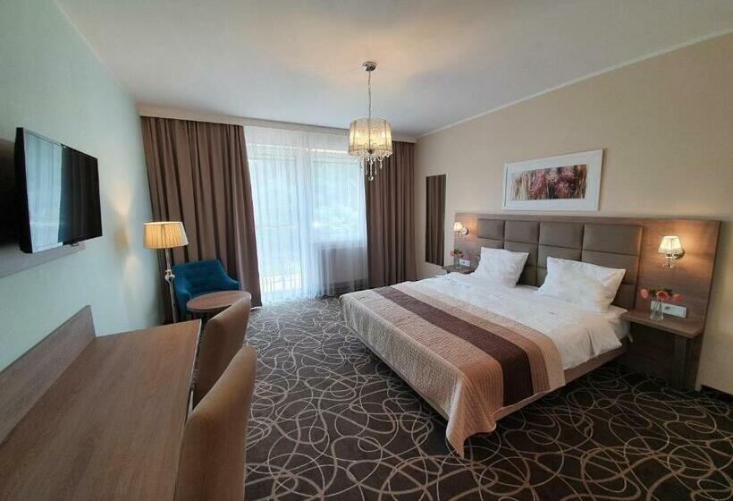 غرفة سوبيريور, Ośrodek Uzdrowiskowy świerkowy Zdrój Medical Spa