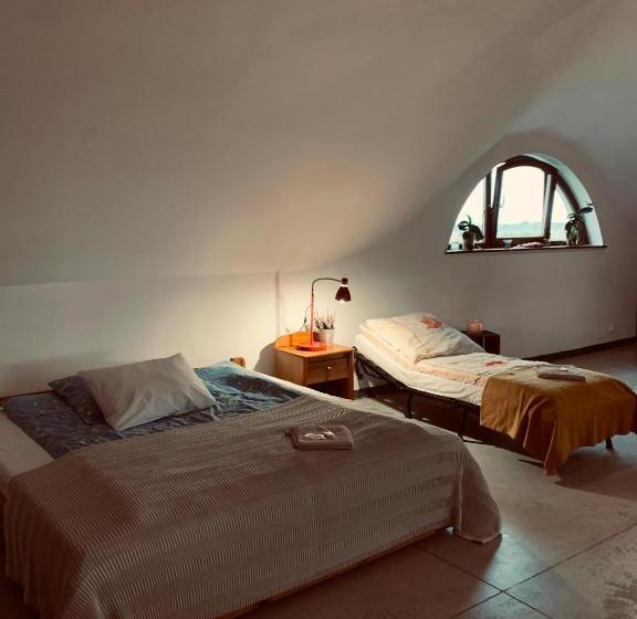 إستوديو قياسى, Rusiborek Dom