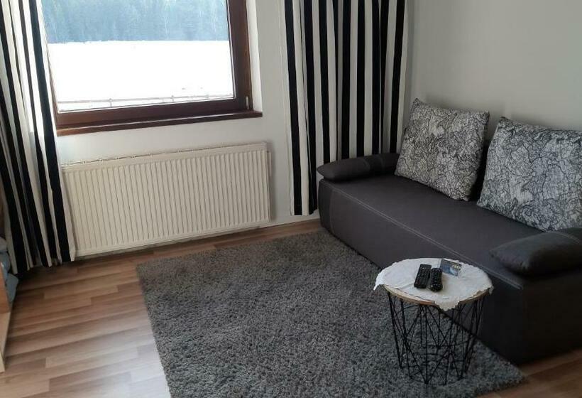 חדר סטנדרט לשלושה, Willa Maciejka