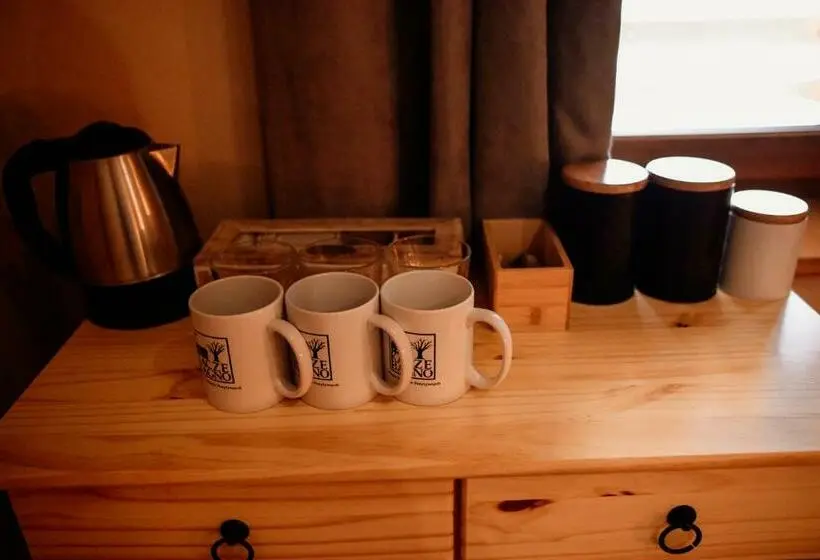 スタンダードトリプルルーム, Kacze Bagno   Miejsce Inicjatyw Pozytywnych
